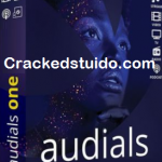 Audials One  Crack